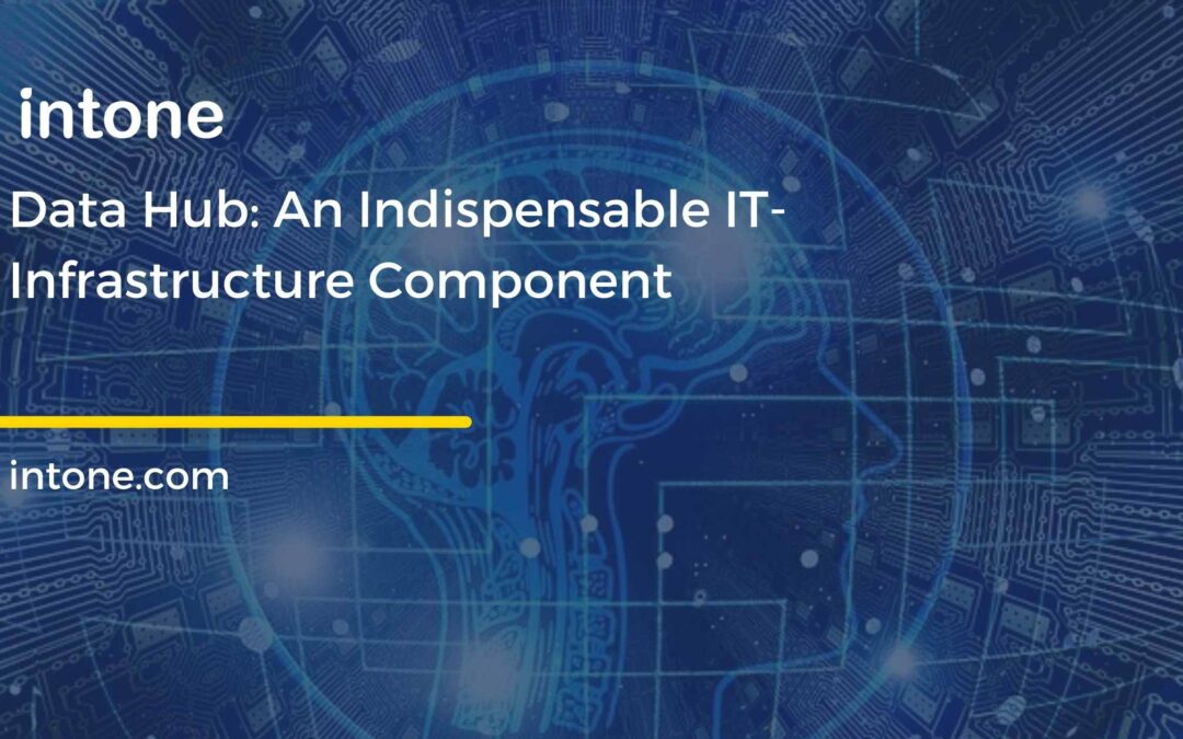 data hub IT component