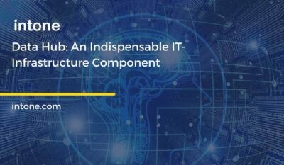 Data Hub: An Indispensable IT-Infrastructure Component