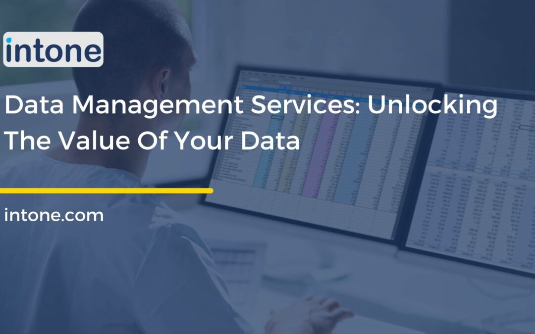The image conveys the concept of data management services, which involves the efficient organization, storage, and retrieval of data
