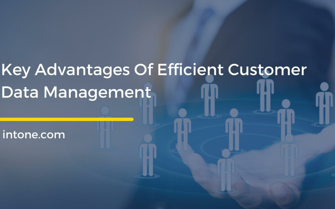 customer data management