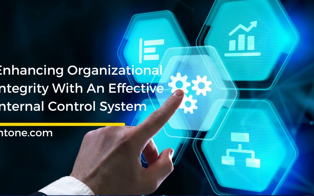 internal control system