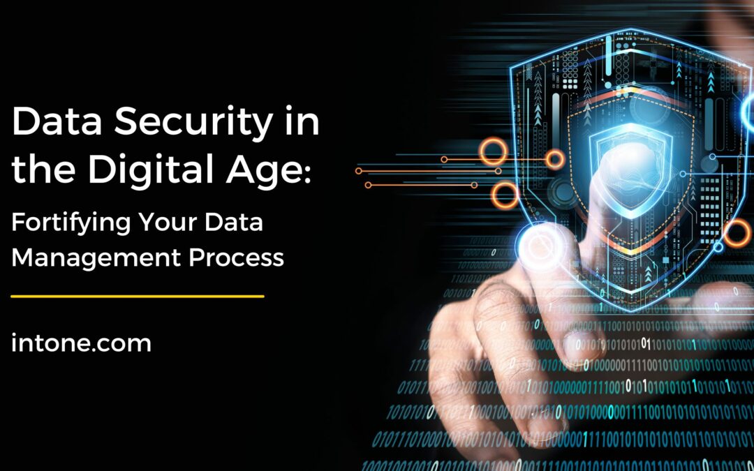 Data Management Process
